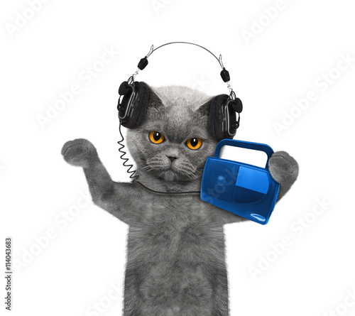 Fototapeta Naklejka Na Ścianę i Meble -  Cat listening to music and dancing