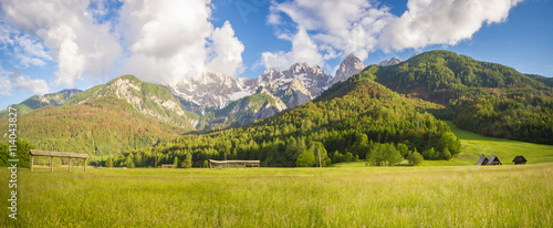 Górska,alpejska łąka © Mike Mareen