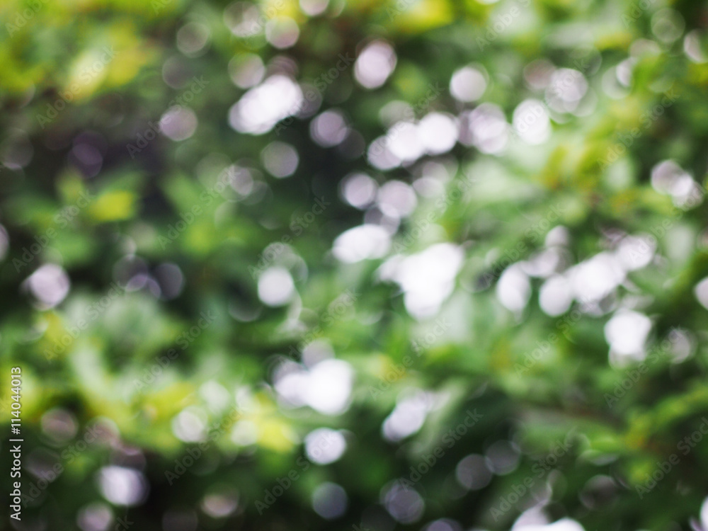 background Bokeh, Blur background background Bokeh, Blur background