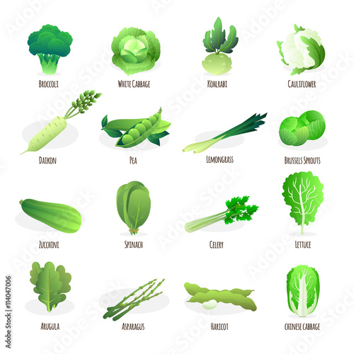 Green vegetables flat icons collection 