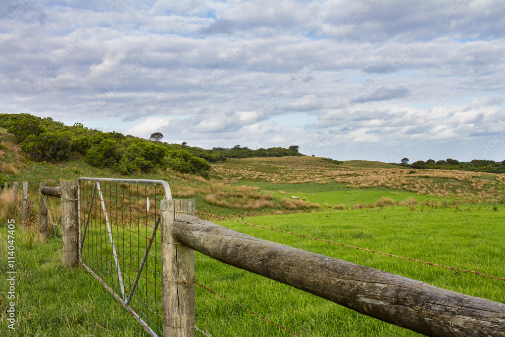 Fence in open Field, Cape Otway, VIC Australia