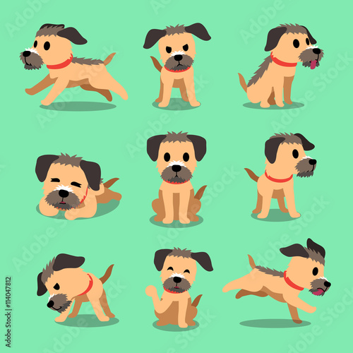 Cartoon character border terrier dog poses