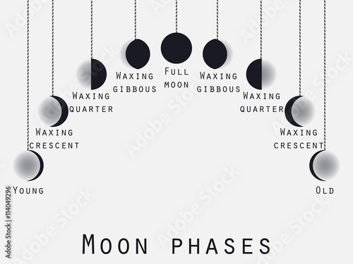 The phases of the moon. Lunar phase. Moon stages. Vector illustration.