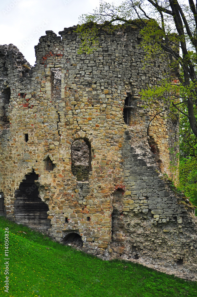 Castle ruins in Cesis