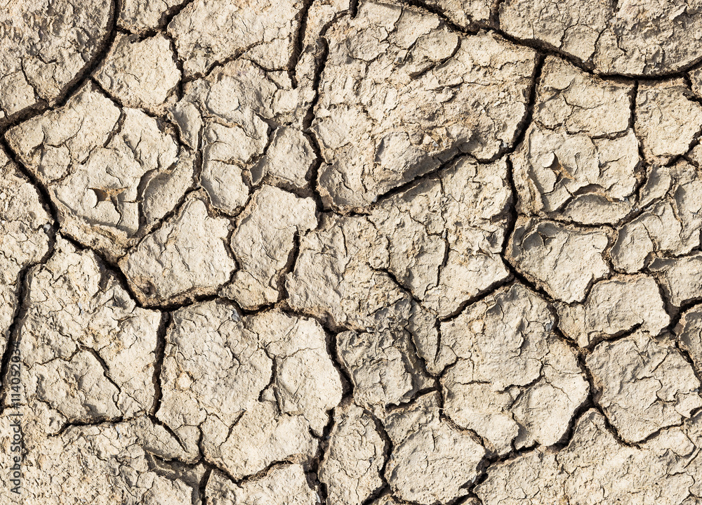 Cracked soil texture Cracked soil texture