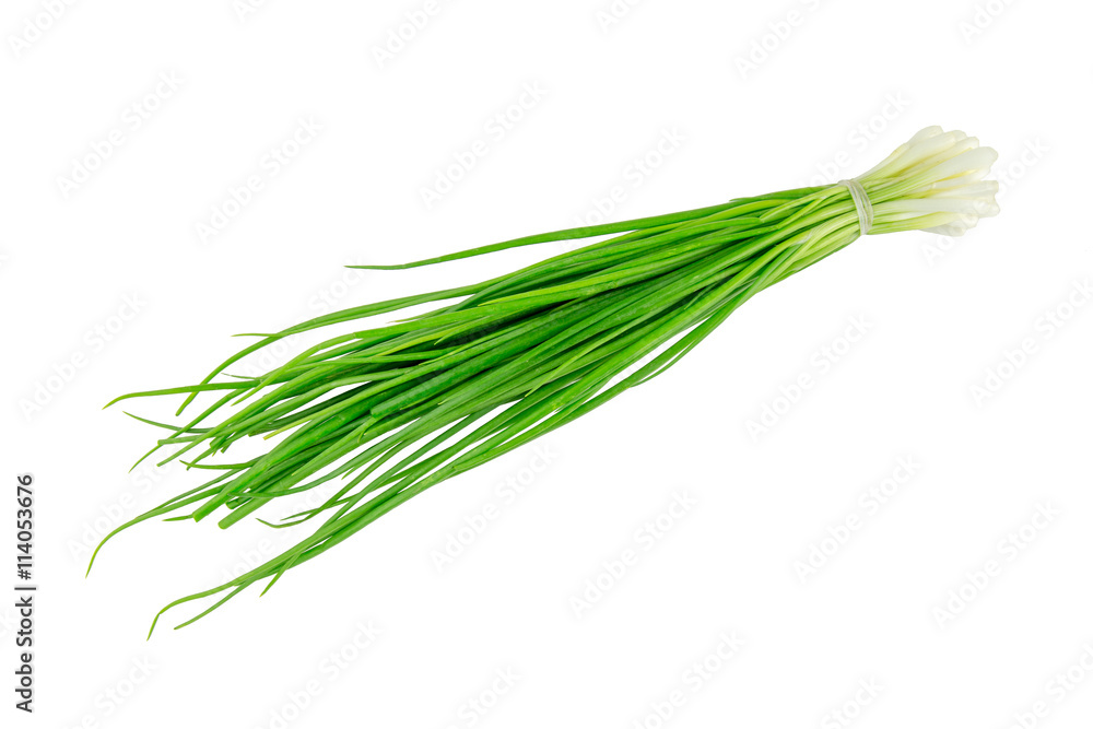 Green leek (young onion) stems tied and isolated on a white background. Green leek (young onion) stems tied and isolated on a white background.