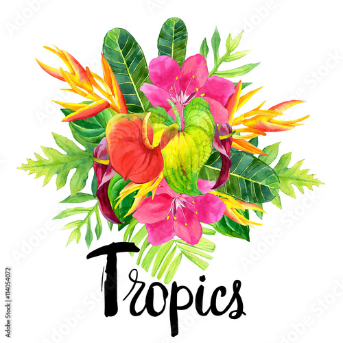 Illustration with realistic watercolor flowers. Tropics.