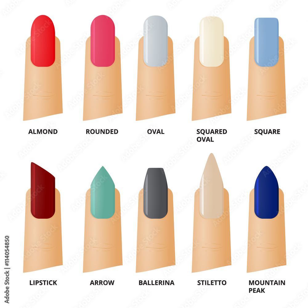 Stockvector Nail forms. Female manicure. Set kinds of nails. Fashion