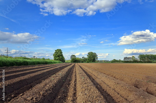 Landwirtschaft