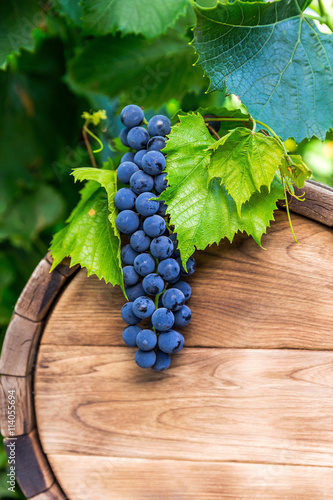 Grapes on a wooden barrel