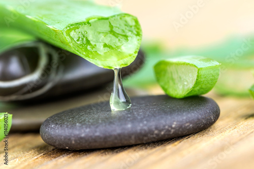 Aloe on a wooden background with stones