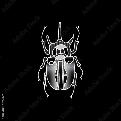 Vector beetle. Beautifully ornated insect.