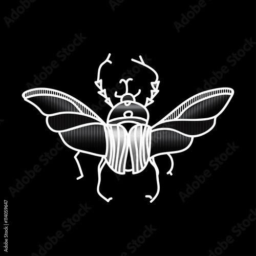 Vector beetle. Beautifully ornated insect.