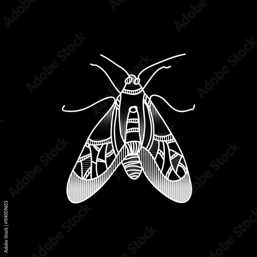 Vector beetle. Beautifully ornated insect.