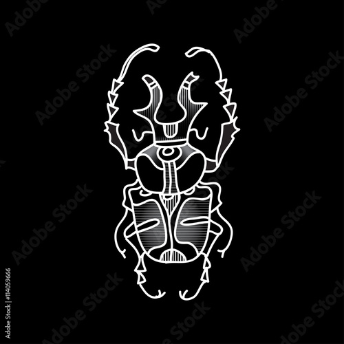 Vector beetle. Beautifully ornated insect.