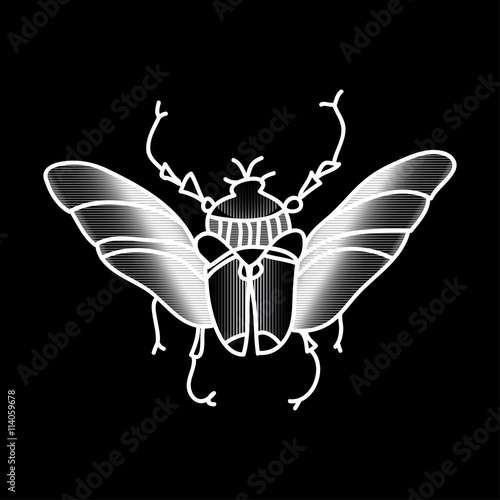 Vector beetle. Beautifully ornated insect.