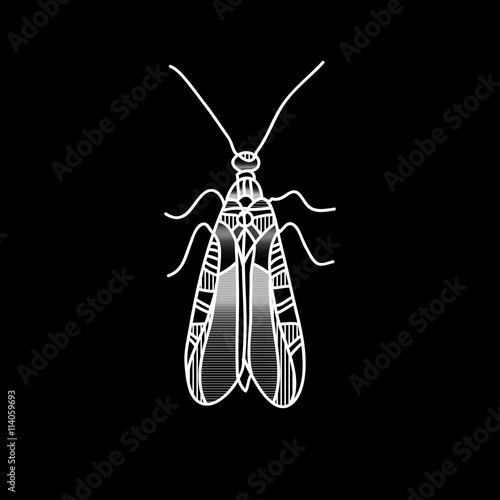 Vector beetle. Beautifully ornated insect.