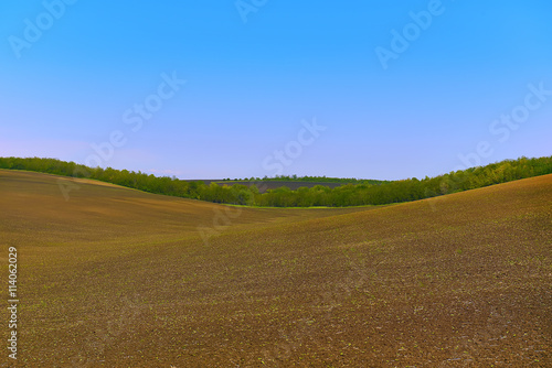 Natural background. field and blue sky. Hilly terrain with a bend. Sunny day 