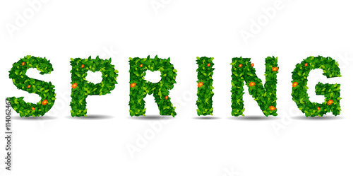 Text of the spring green leaf. 3d render. in white background