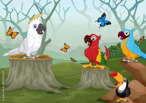 funny birds cartoon with deep forest landscape background