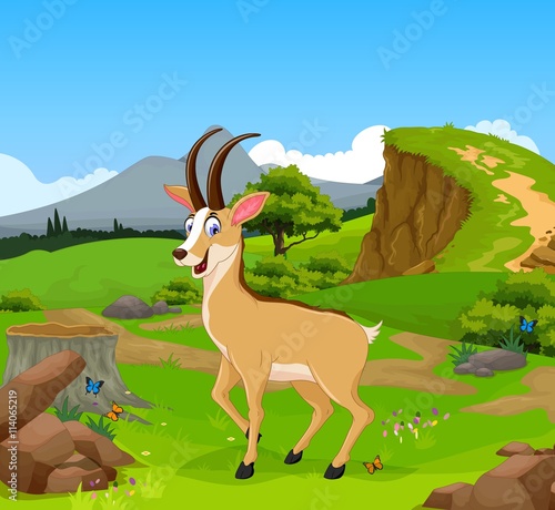 funny chamois cartoon in the jungle with landscape background