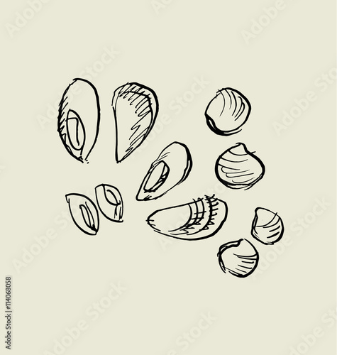 mussel, and shell icon.  fo...