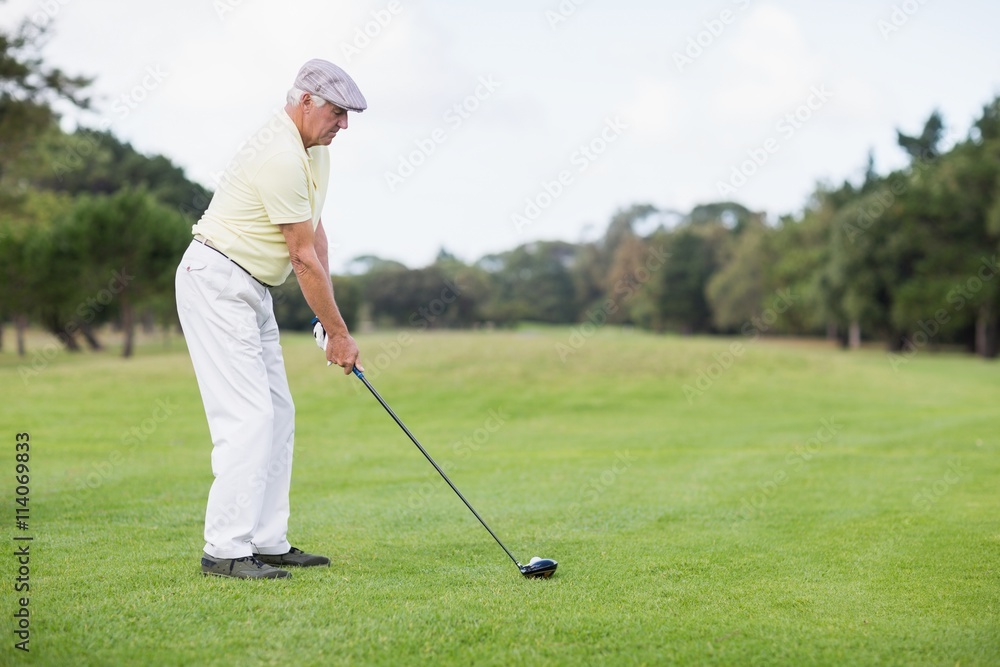 Fototapeta premium Mature man playing golf