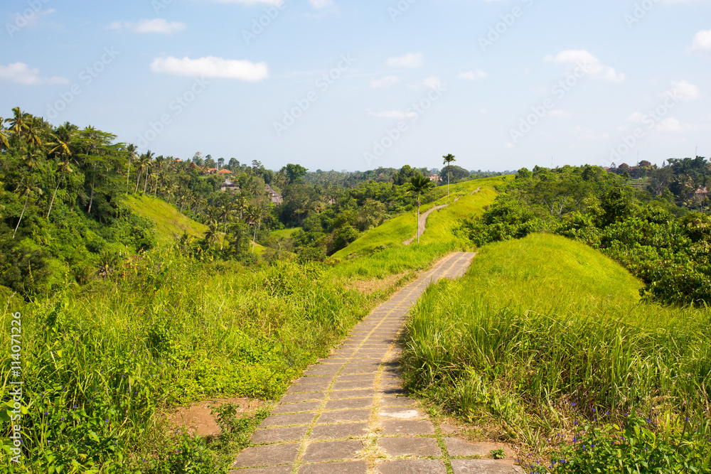Naklejka premium Campuhan Ridge Walk