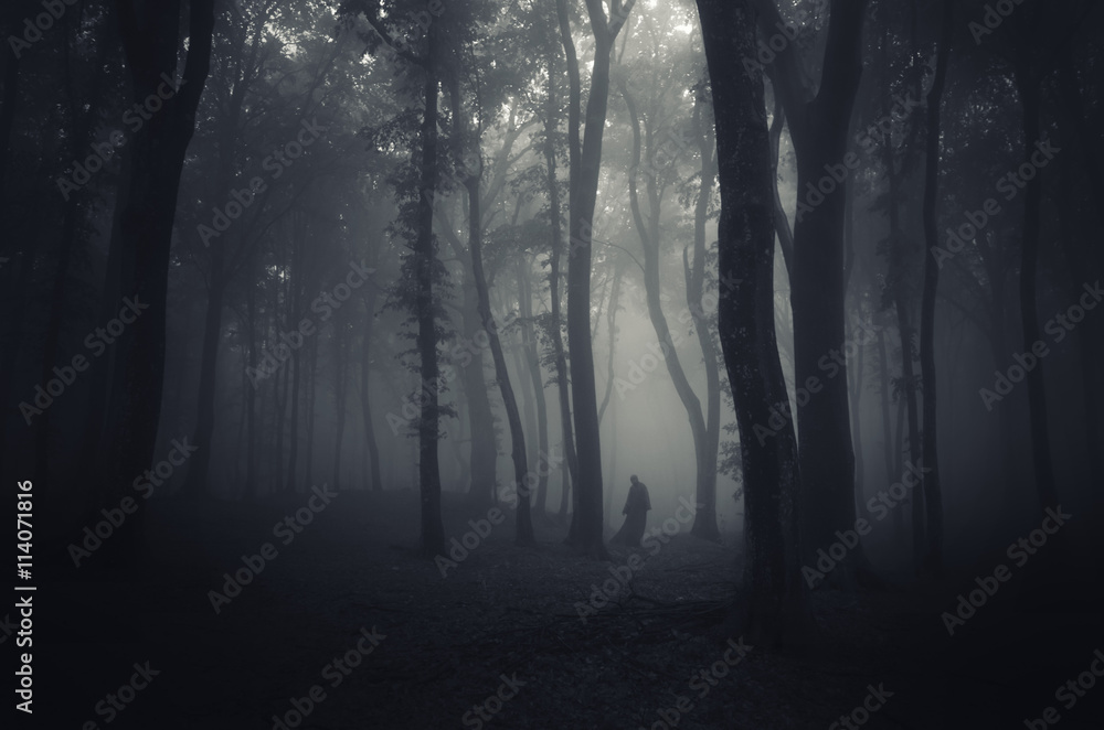 Fototapeta premium spooky figure in dark forest