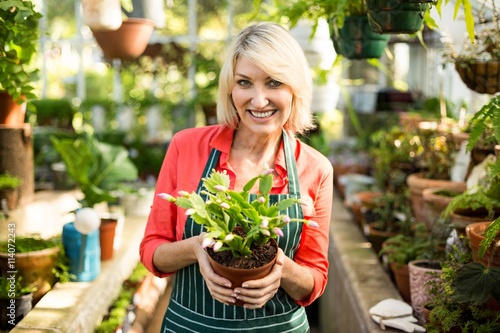 Woman holding potted plant at greenhouse