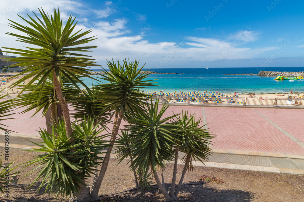 Playa Amadores, Gran Canaria, Spanien