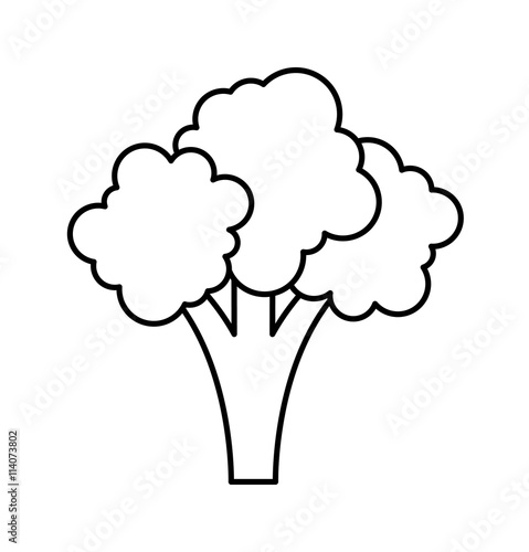 fresh broccoli isolated icon design