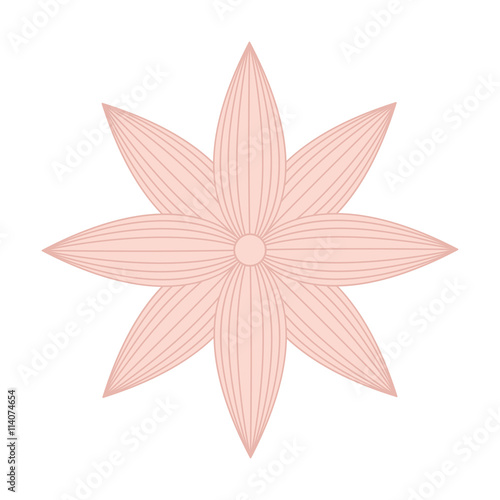 beutiful flower isolated icon design