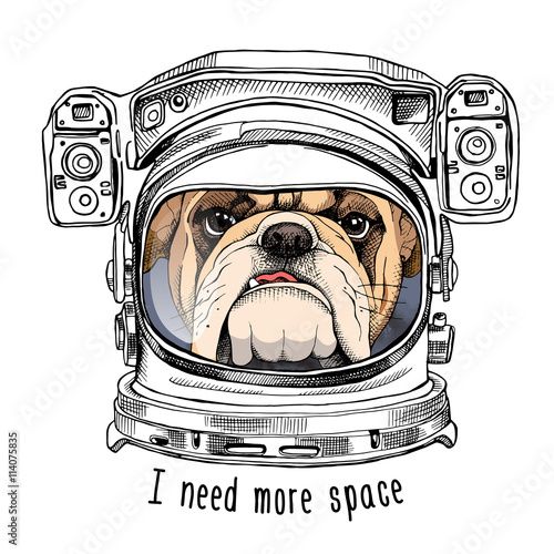 Bulldog portrait in a Astronaut's Helmet. Vector illustration.
