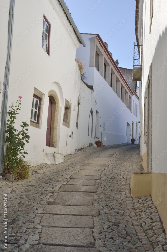 Stone slope alley  in Marvao, Portugal