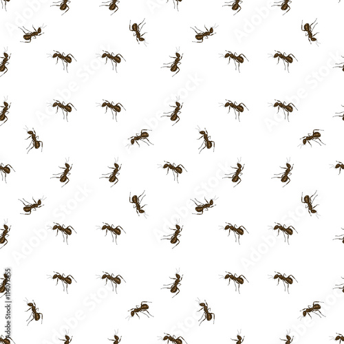 Seamless Animal Pattern. Ant Isolated on White Background. © valeo5
