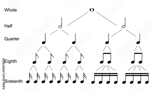 Types of musical  notes