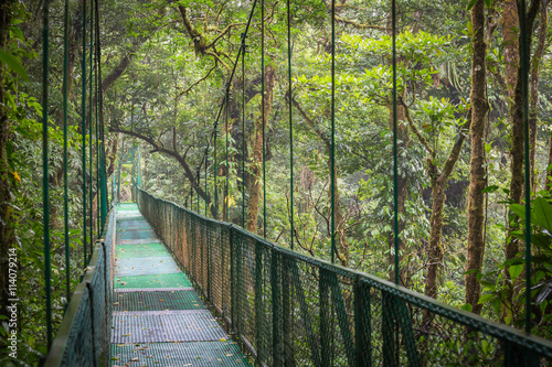 Wiszący most w dżungli / Krajobraz