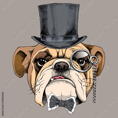 Bulldog portrait in a bowler hat, with a tie and with a monocle. Vector illustration.
