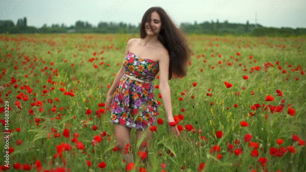 young female spinning around in poppy field slow motion young female spinning around in poppy field slow motion