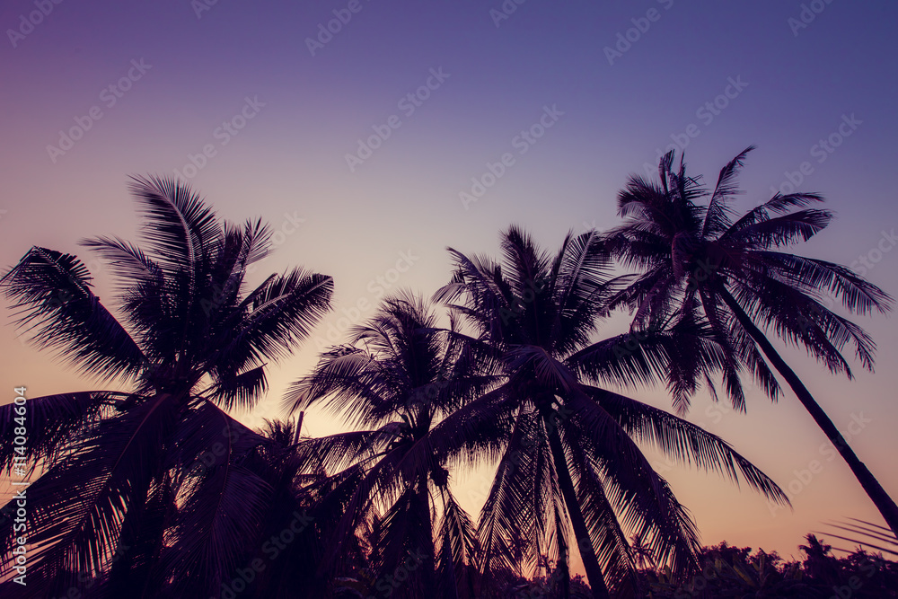 Fototapeta premium Silhouette coconut tree
