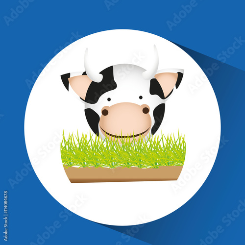 animals farm design 