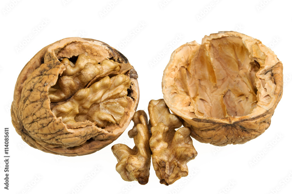 Walnuts Isolated on White Background..Crushed nutshell with opened nuts cores. Walnuts Isolated on White Background..Crushed nutshell with opened nuts cores.