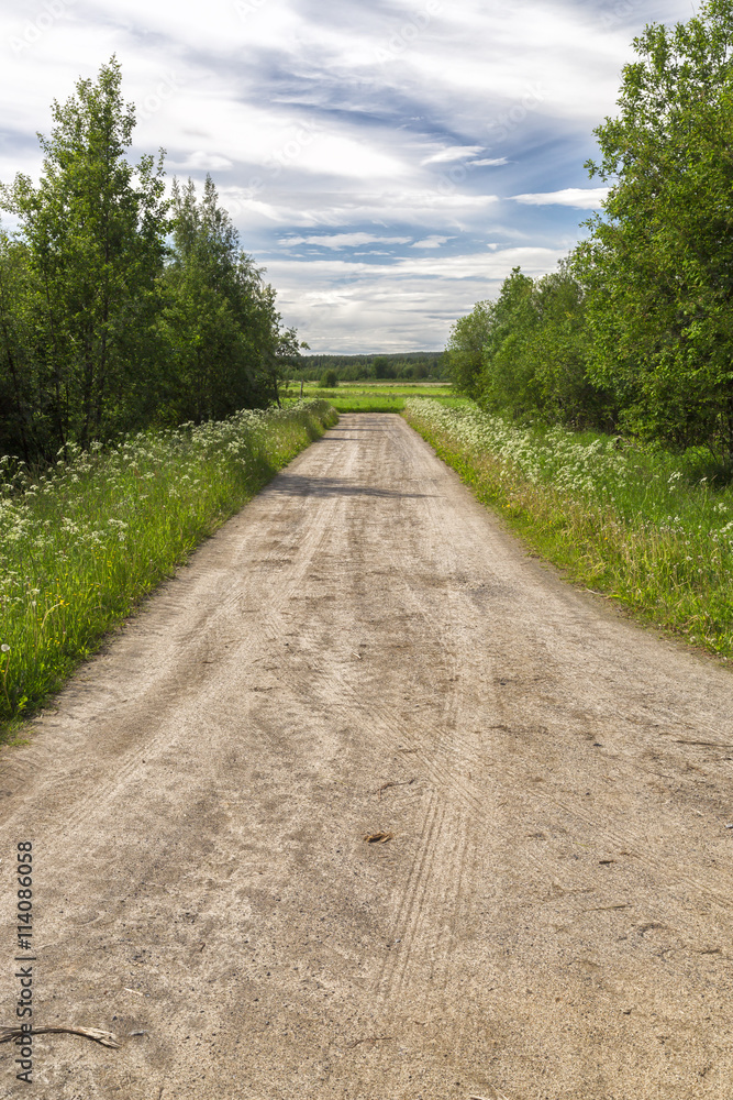 Fototapeta premium Gravel Road in Farm Land