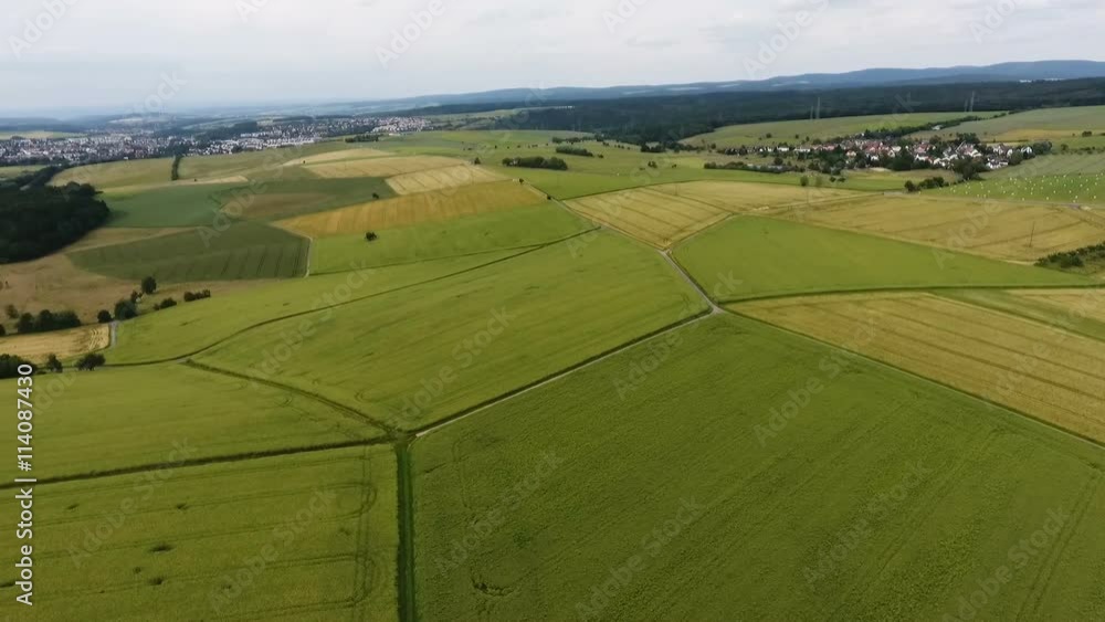 Aerial view of cornfields Aerial view of cornfields