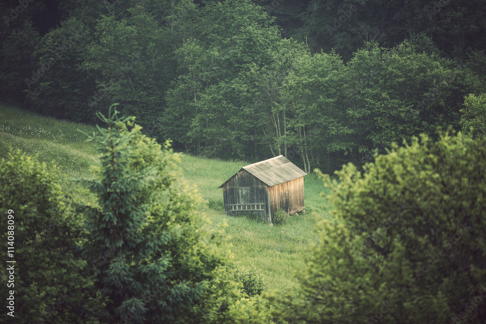 Majestic view of the woods glowing by sunlight at twilight. Dramatic and picturesque morning scene. Location place: Carpathian, Ukraine, Europe. Beauty world. Retro and vintage toning effect. Majestic view of the woods glowing by sunlight at twilight. Dramatic and picturesque morning scene. Location place: Carpathian, Ukraine, Europe. Beauty world. Retro and vintage toning effect.