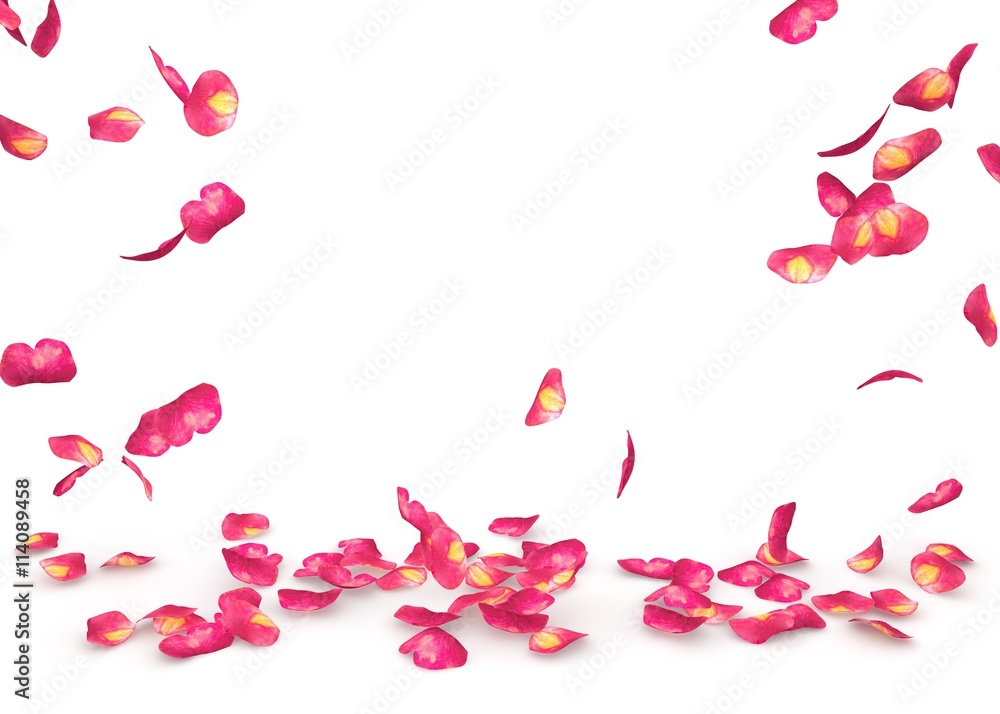 Obraz premium Rose petals fall to the floor
