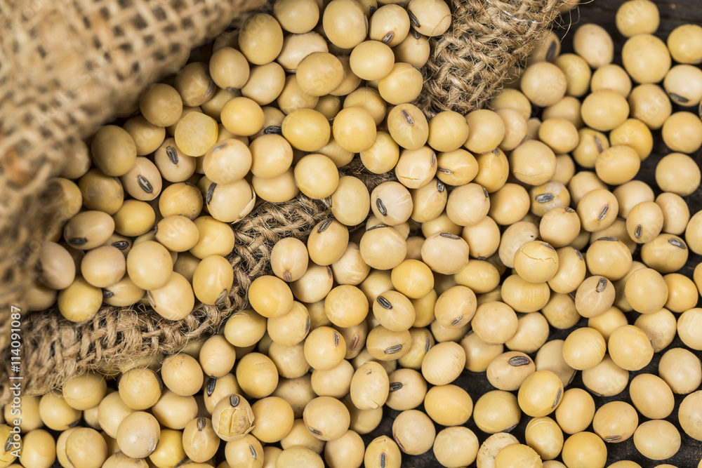 Soy bean Soy bean