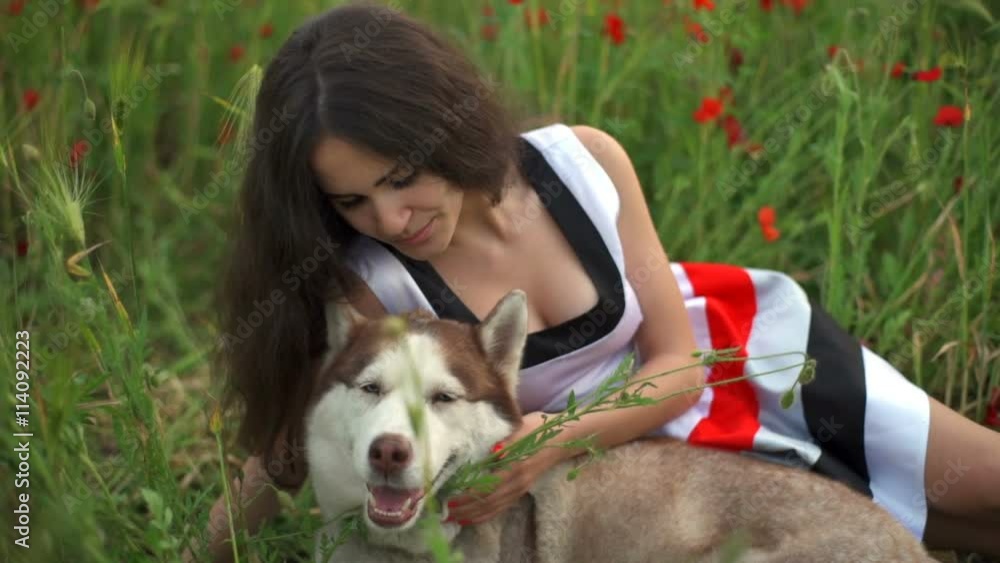 young female and husky dog lie in poppy field slow motion young female and husky dog lie in poppy field slow motion