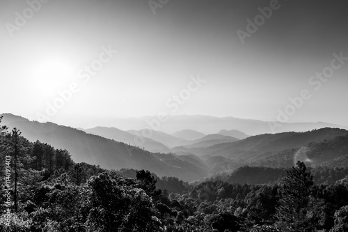 Tropical mountain view. black and white photo